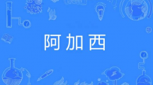 网络用语阿加西是什么梗