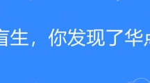 网络用语盲生你发现了华点是什么梗