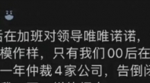 网络用语仲裁侠是什么梗