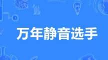 网络用语万年静音选手是什么梗