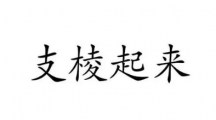 网络用语支棱起来是什么梗