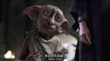 网络用语dobby is free是什么梗