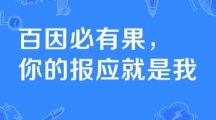 网络用语百因必有果是什么梗