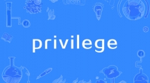 网络用语privilege是什么梗