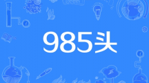 网络用语985头是什么梗