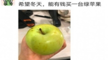 网络用语冬天的第一个苹果是什么梗