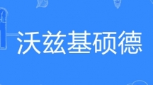 网络用语沃兹基硕德是什么梗