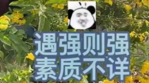 网络用语素质不详遇强则强是什么梗