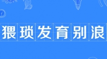 网络用语猥琐发育别浪是什么梗