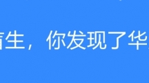 网络用语盲生，你发现了华点是什么梗