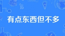 网络用语有点东西但不多是什么梗