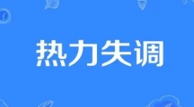 网络用语热力失调是什么梗