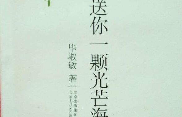 简单的璀璨——《送你一颗光芒海》读后感作文800字.jpg