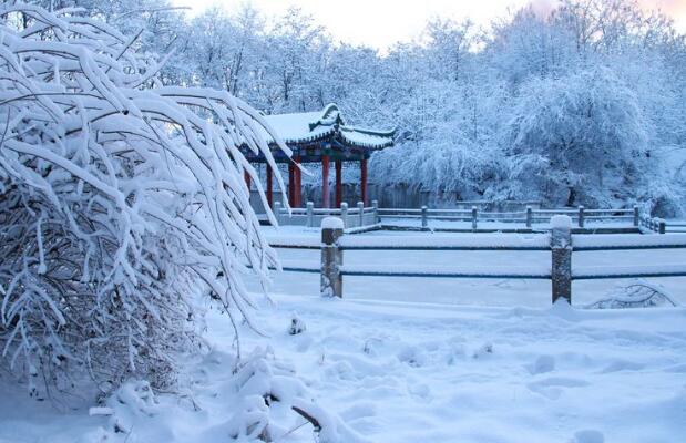 北方的雪.jpg