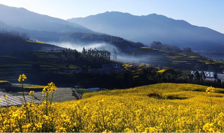 乡村早晨.jpg