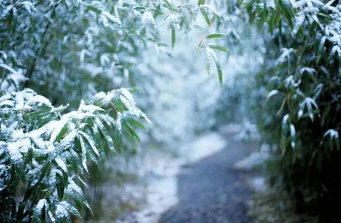 飞雪中的乐声.jpg