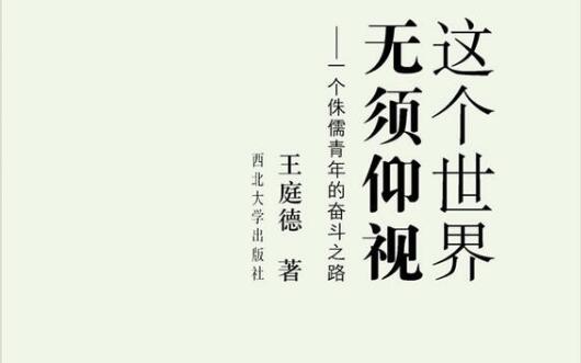 《这个世界无须仰视》