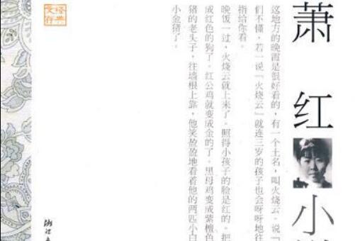 萧红《后花园》读书笔记及感悟赏析600字.jpg