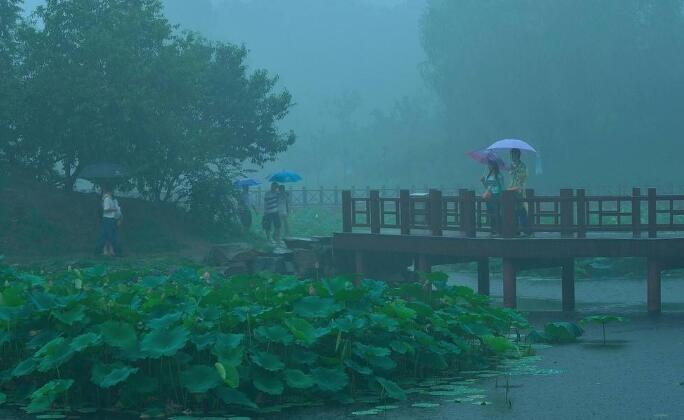 下雨即景.jpg