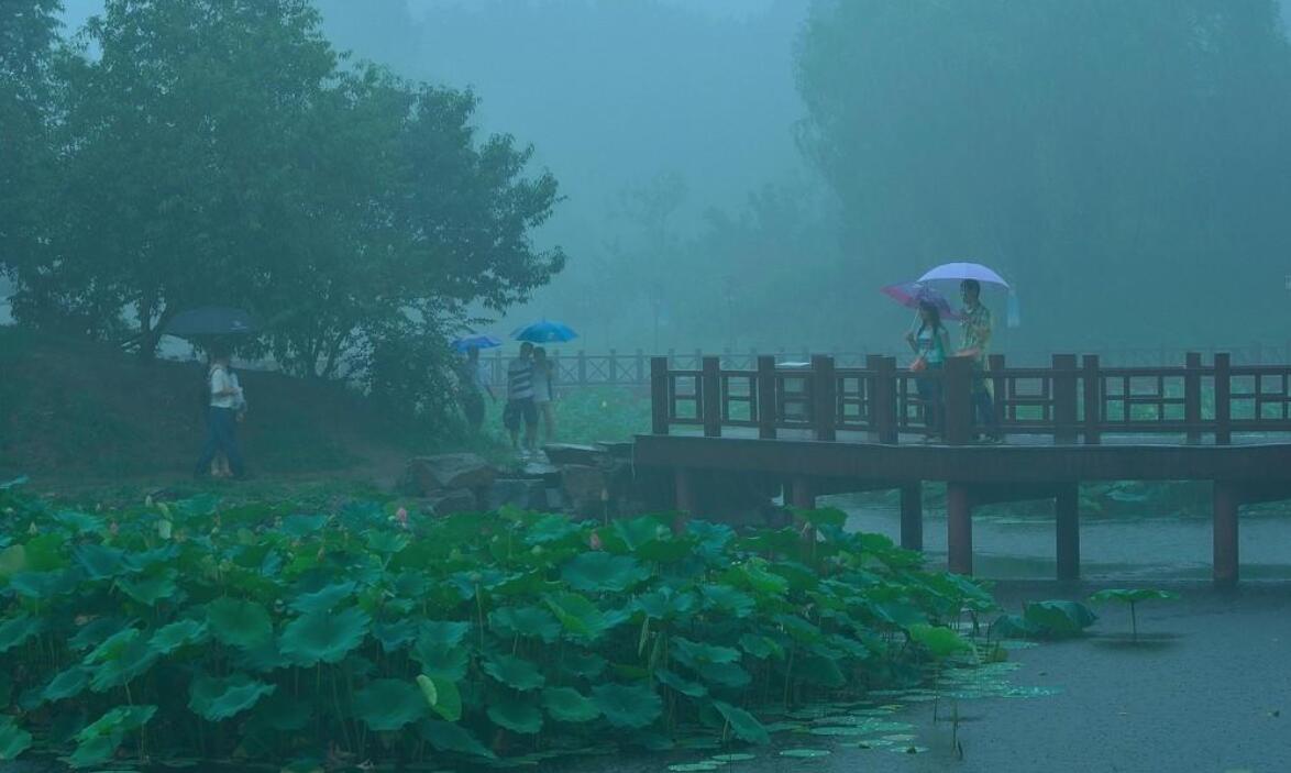 雨中即景.jpg