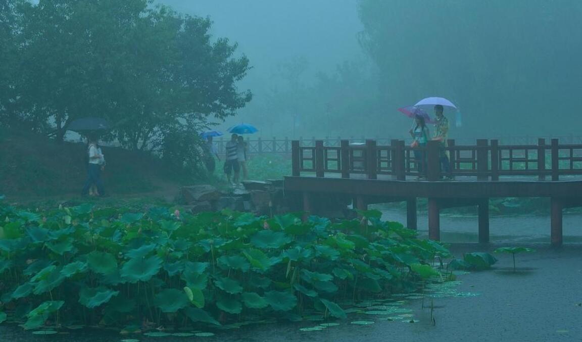 雨中即景.jpg