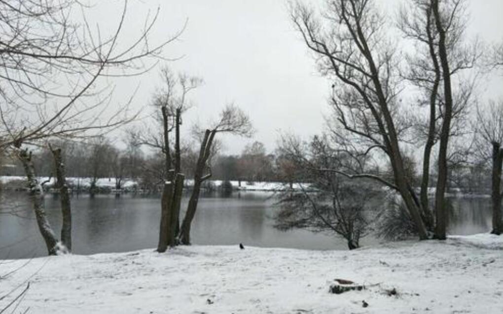 下雪即景.jpg