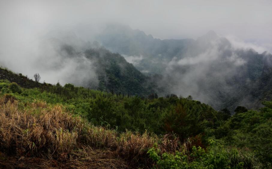 山雨.jpg