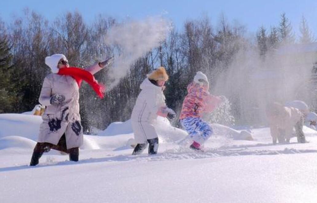 北方人打雪仗图片