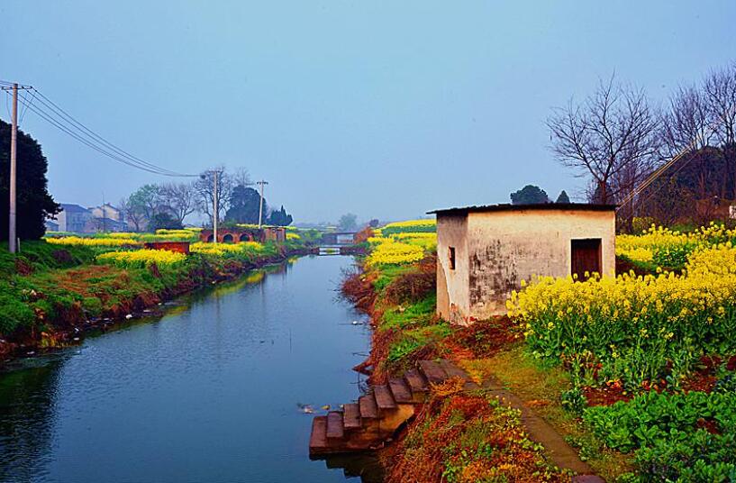 乡村小景.jpg