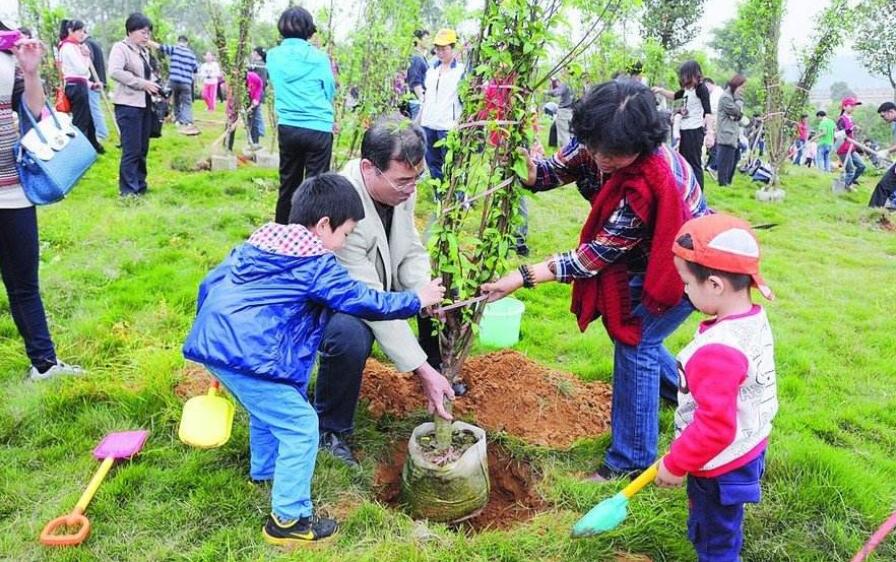 一起植树.jpg