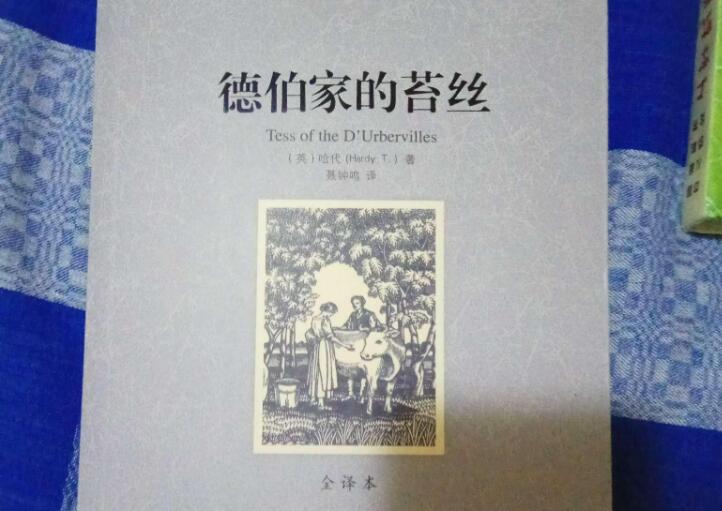 《德伯家的苔丝》书籍.jpg