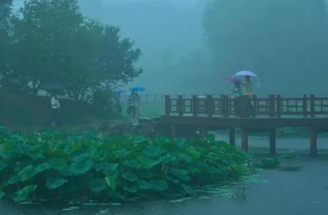 雨后即景.jpg